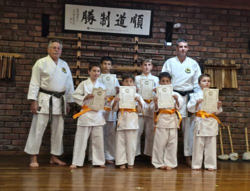 New Junior Yellow Belts!